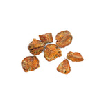 Aegle marmelos (Bael ) Fruits