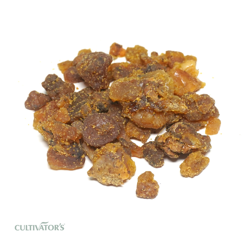 Organic Asafoetida Resin