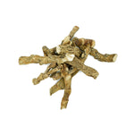 Acorus calamus (Vacha ) Rhizome