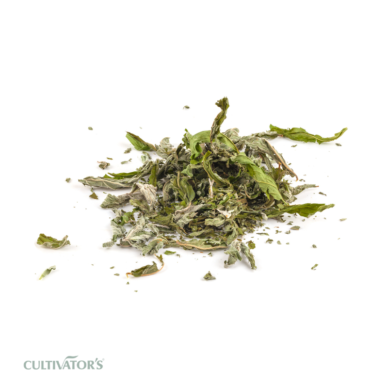 Organic Field Mint Leaves