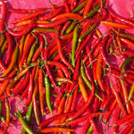 Capsicum annuum (Chilli) Fruits Powder