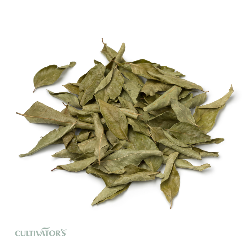 Organic Curry Leaves
