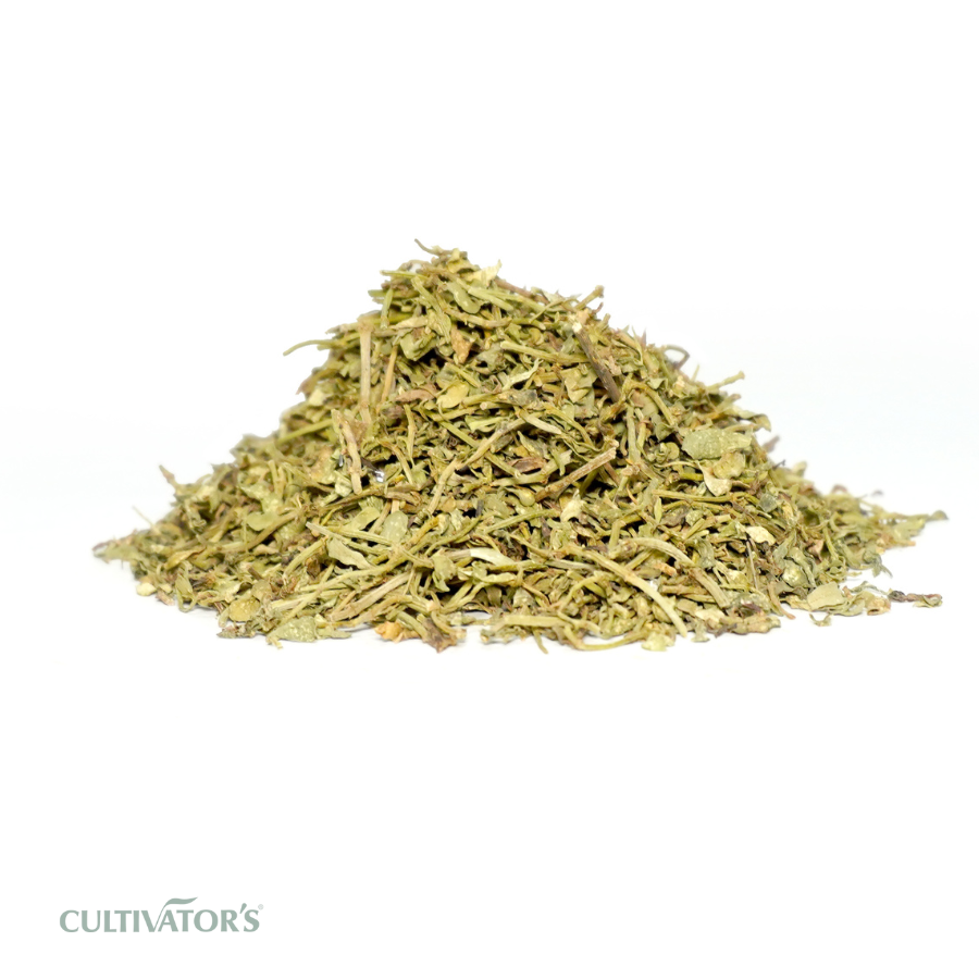 Organic Brahmi plant