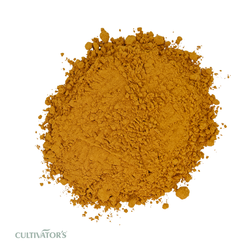 Organic Annatto Seed Powder