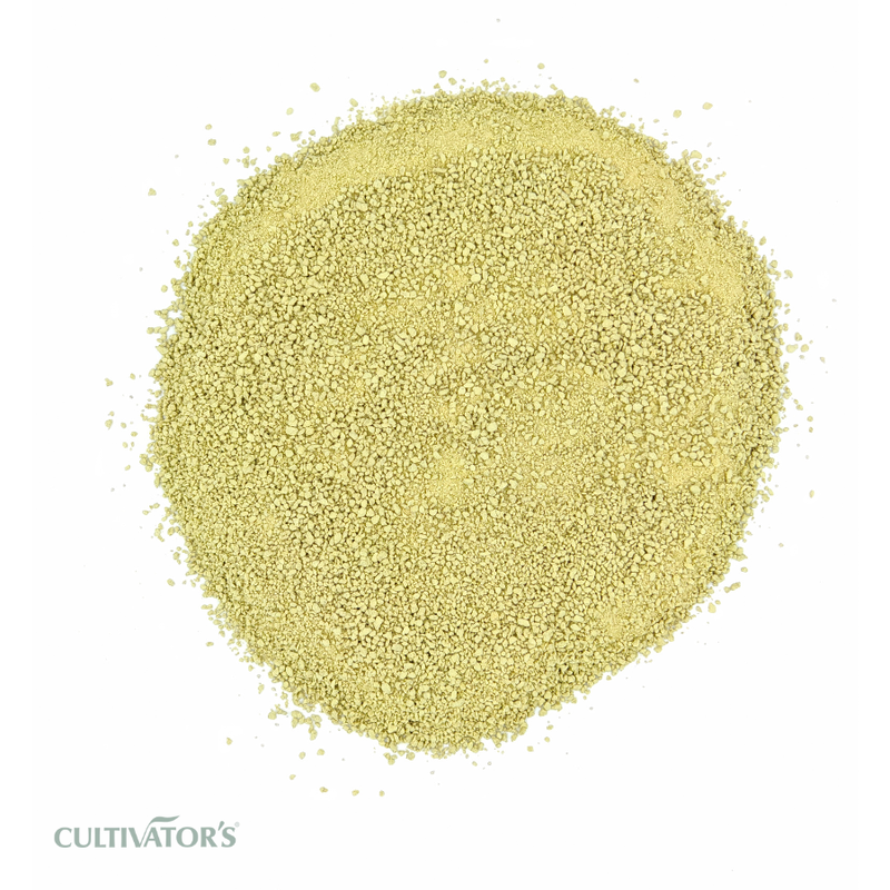 Organic Aloe Vera Leaves Granules