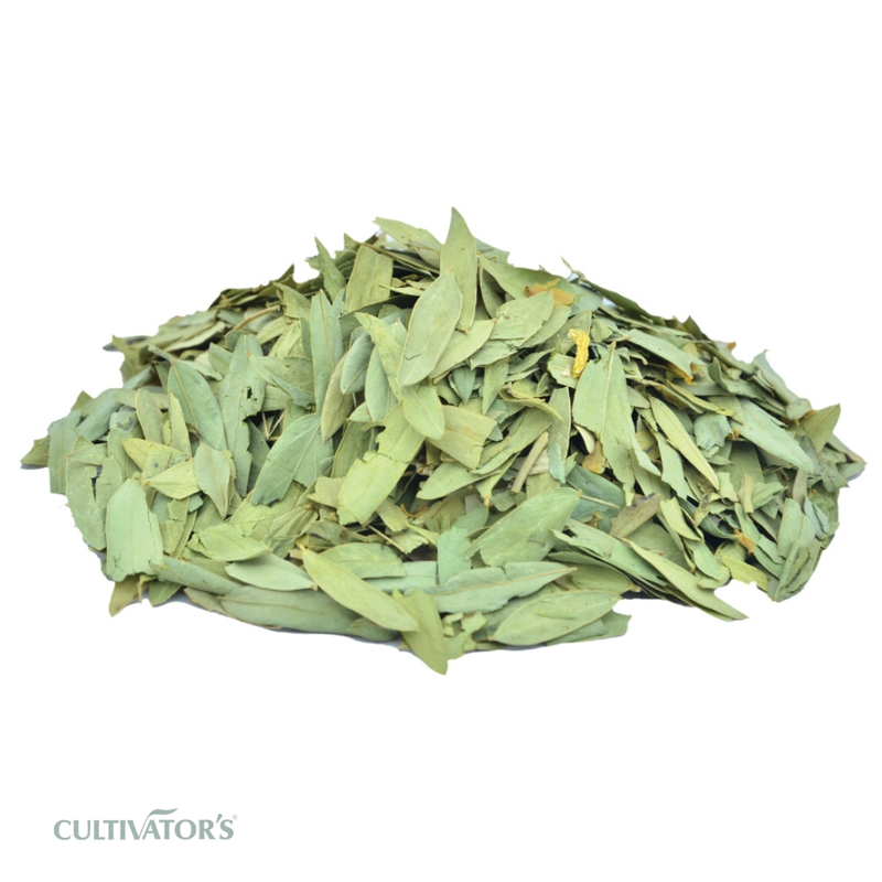 Organic Senna Leaves