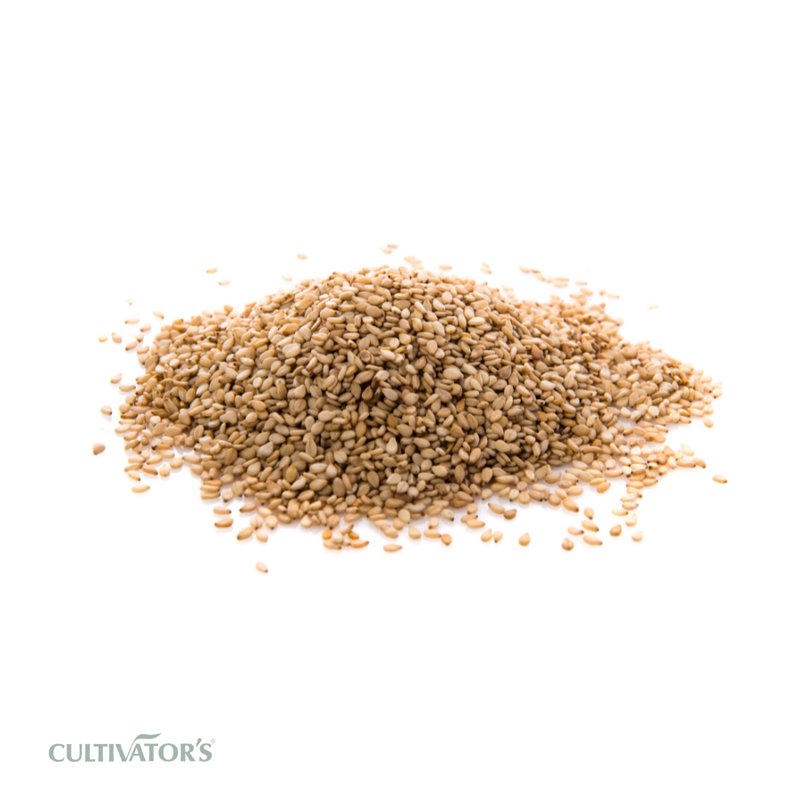 Organic Sesame seeds