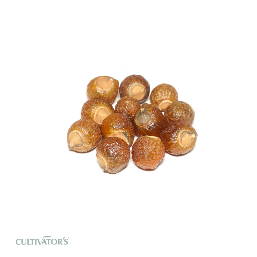 Organic Soapnut Fruits