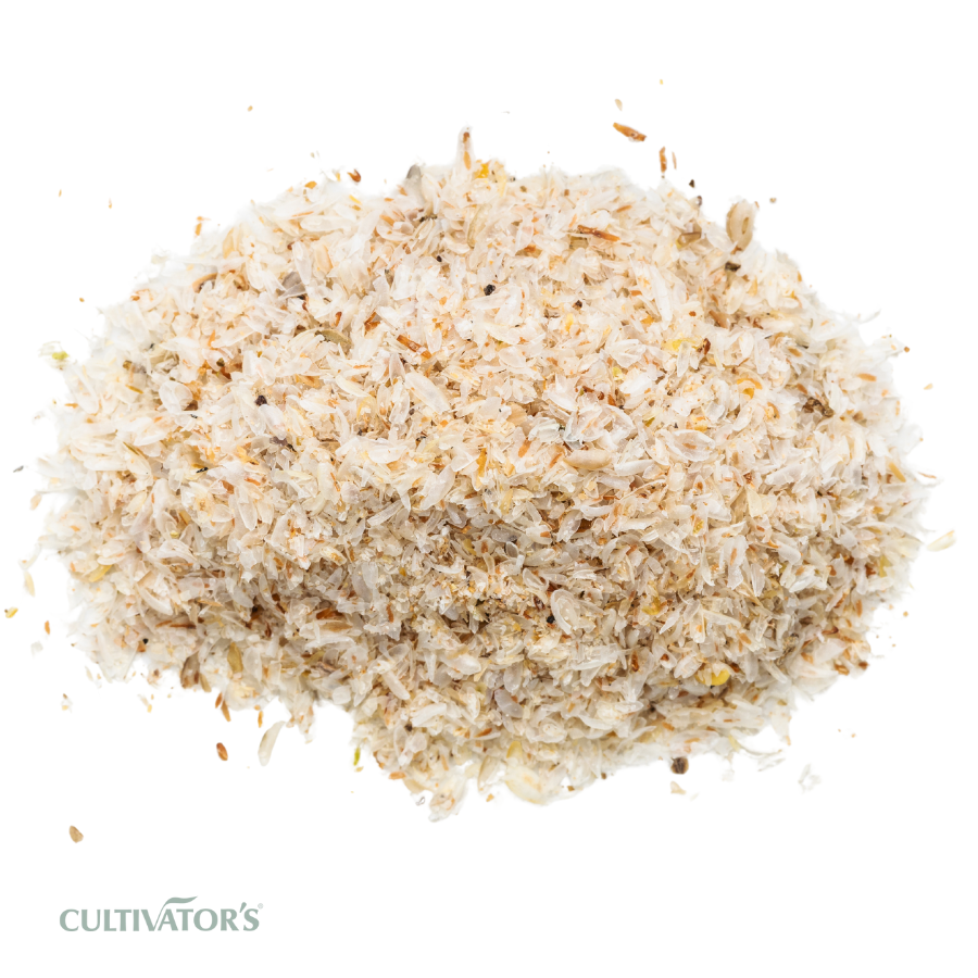 Organic Psyllium Husk