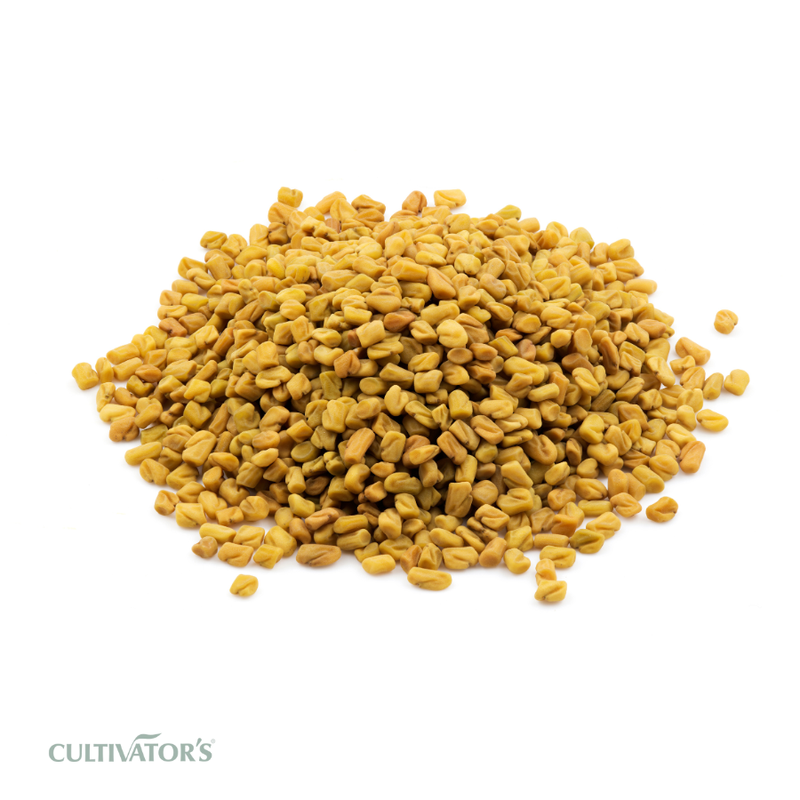 Organic Fenugreek Seeds