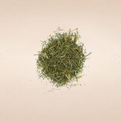 Andrographis paniculata (Kalmegh ) Whole Plant