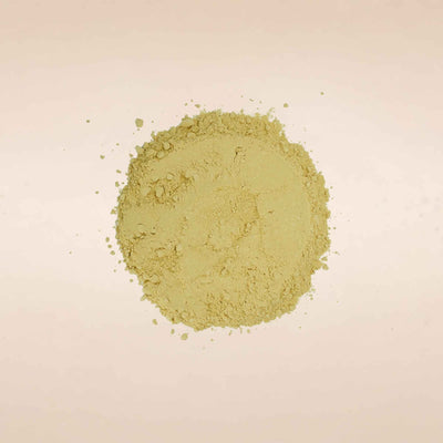 (Shatavari) Roots Powder