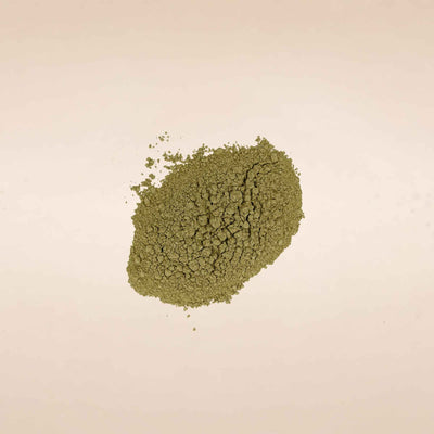 Bhringraj Powder (Eclipta alba)