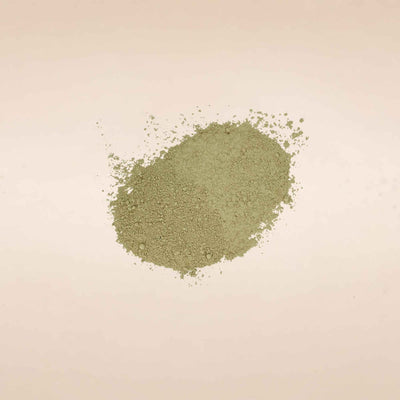 Boerhavia diffusa (Punarnava) Roots Powder