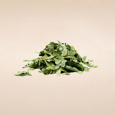 Cassia auriculata (Cassia / Neutral Henna) Leaves