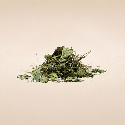 Centella asiatica (Gotu Kola) Leaves
