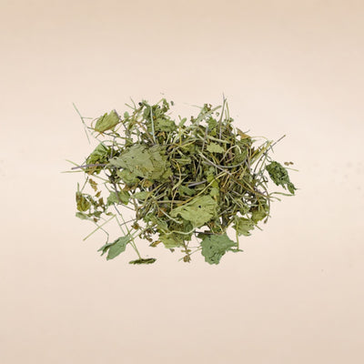Centella asiatica (Gotu Kola) Leaves