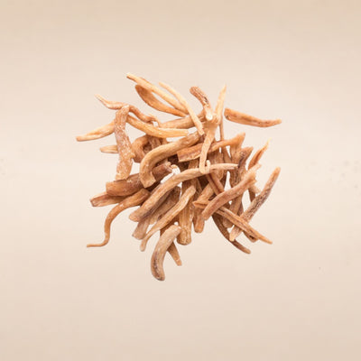 (Safed Musli) Rhizome