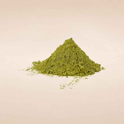 Convolvulus pluricaulis (Shankhpushpi) Whole Plant Powder