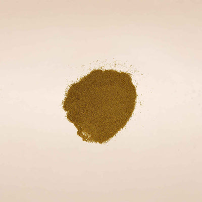 Cuminum cyminum (Cumin) Seeds Powder 