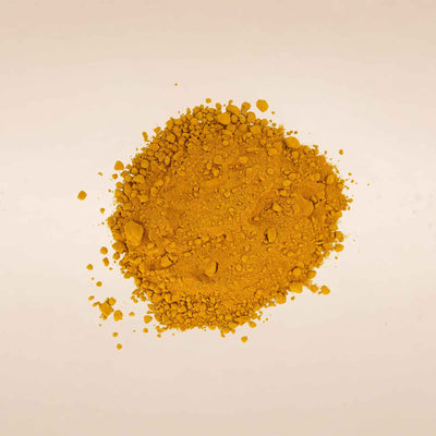 Turmeric Rhizome Powder
