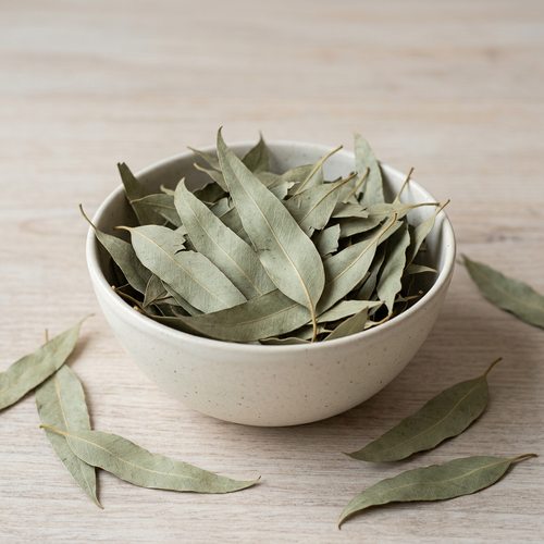 Eucalyptus globulus (Eucalyptus) Leaves