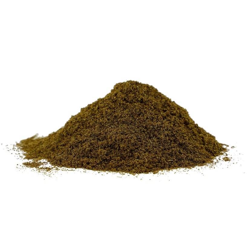 Samen von Apium graveolens (Sellerie) als Pulver