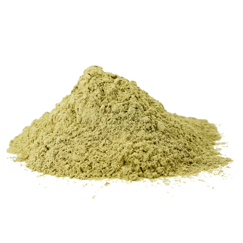 Bacopa monnieri (Brahmi) Whole Plant Powder
