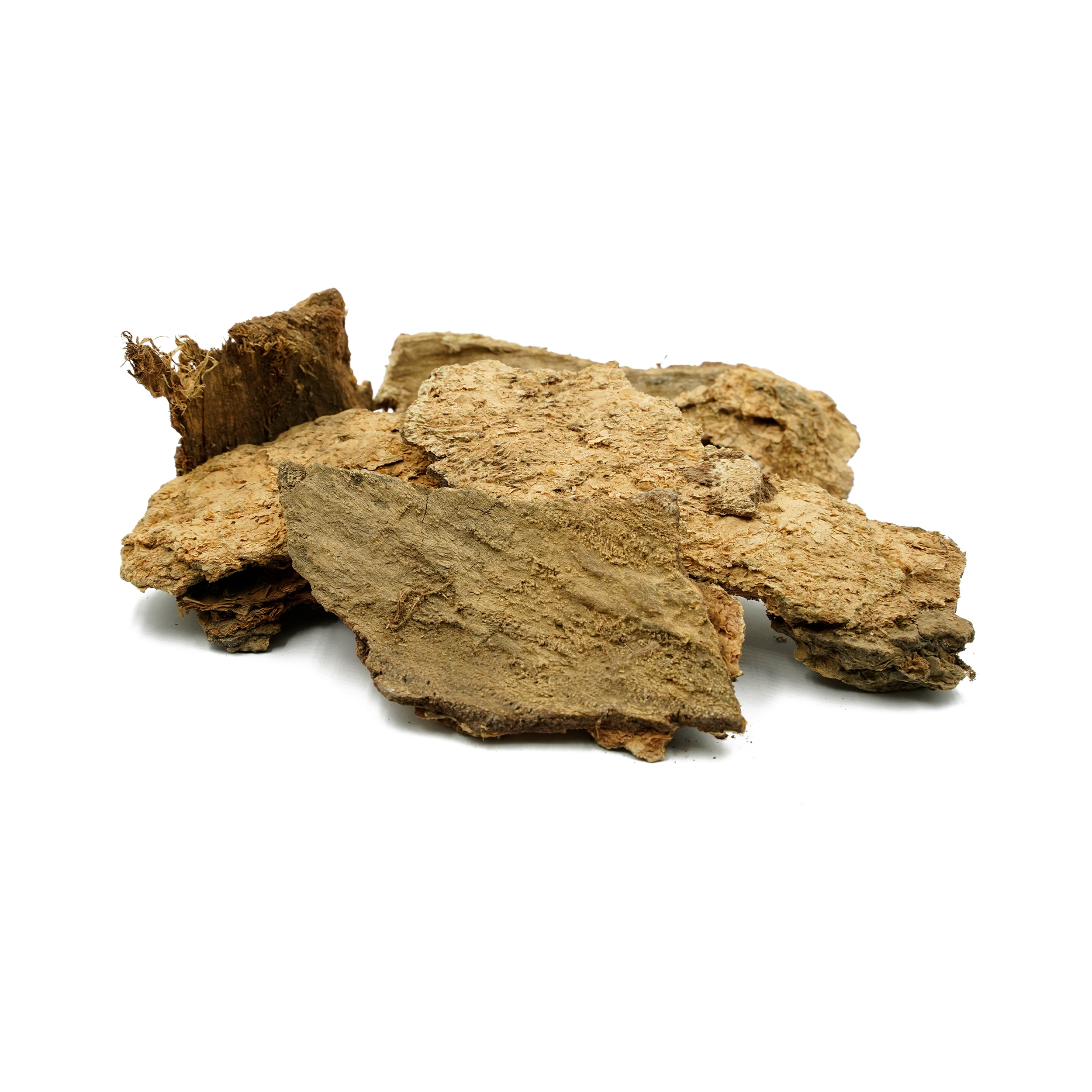 Albizia lebbeck (Siris ) Bark