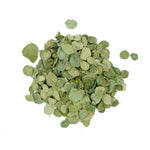 Ziziphus jujuba (Jujube) Leaves