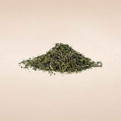 Eclipta alba (Bhringraj) Whole Plant C&S