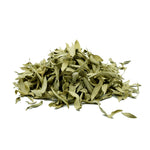 Pluchea lanceolata (Rasna) Leaves