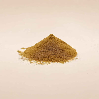 Inula racemosa (Pushkarmool) Roots Powder