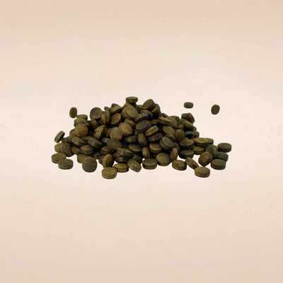 Guggulu Tablet (Commiphora wightii)