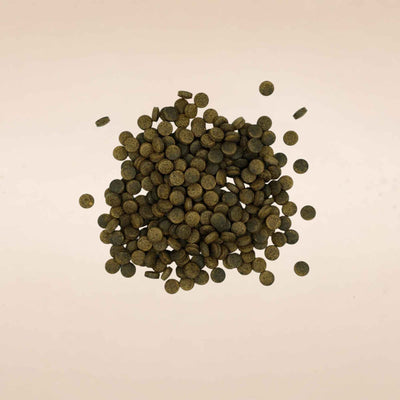 Guggulu Tablet (Commiphora wightii)