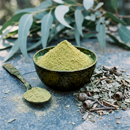 Eucalyptus globulus (Eucalyptus) Leaves Powder