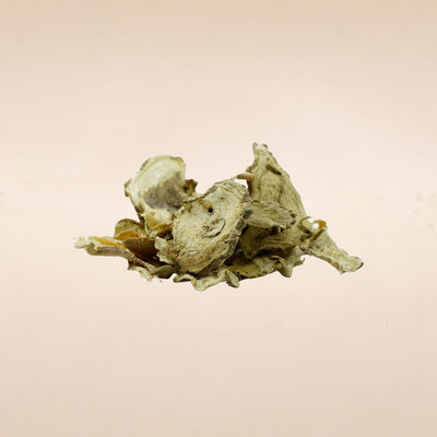 Hedychium spicatum (Kapoor Kachri) Rhizome