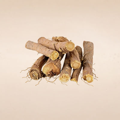 Inula racemosa (Puskarmool) Roots