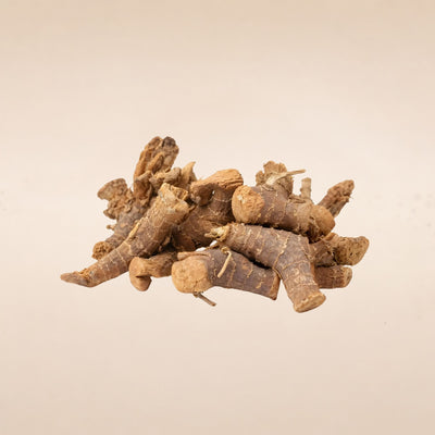 Kaempferia galanga (Galangal) Roots