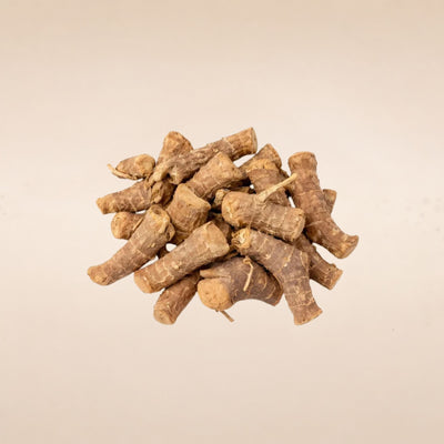 Kaempferia galanga (Galangal) Roots