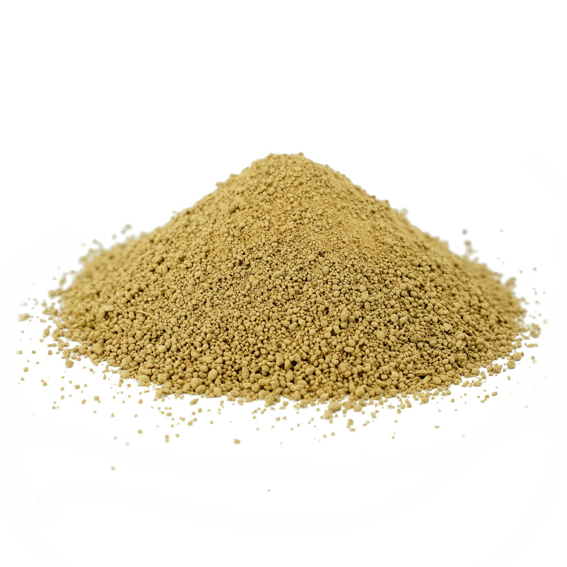Bulk Natural Mangifera Indica (Amchur) Unripe Fruits Granules