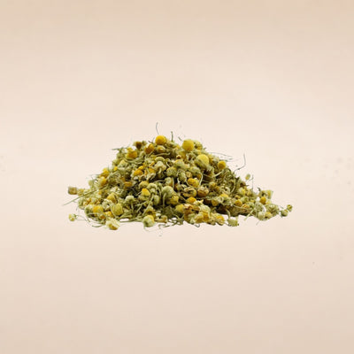 Matricaria chamomilla (Chamomile) Flowers