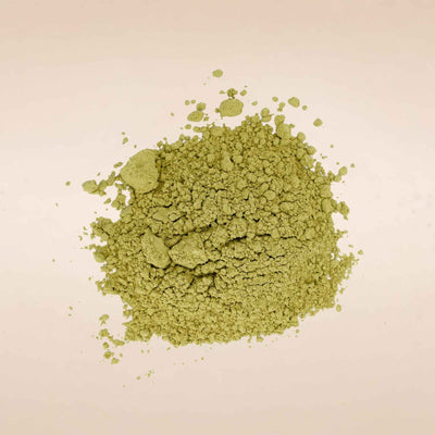 Matricaria chamomilla (Chamomile) Flowers Powder