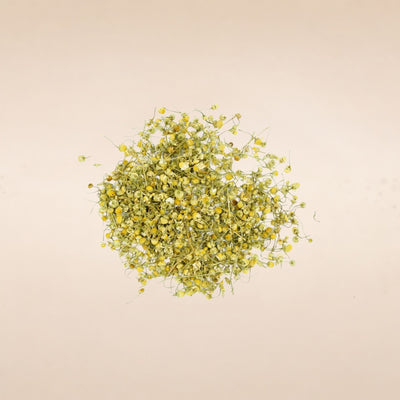 Matricaria chamomilla (Chamomile) Flowers