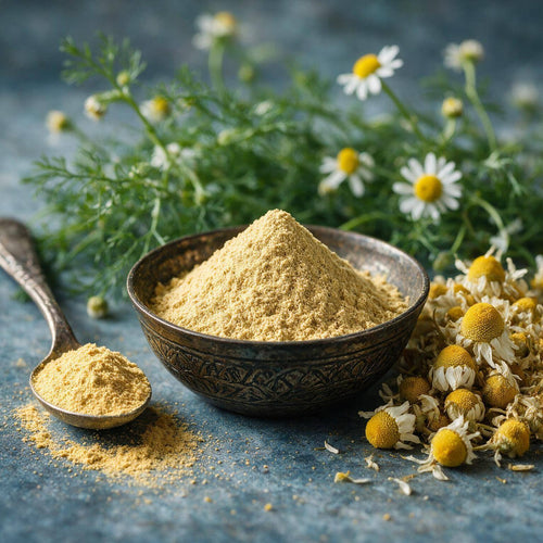 Matricaria chamomilla (Chamomile) Flowers Powder