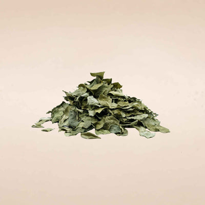 Moringa Leaves