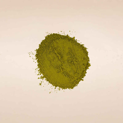 Moringa Leaves Powder