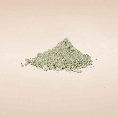 (Mucuna / Kounch) Seeds Powder