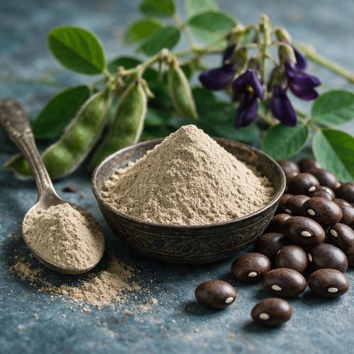 (Mucuna / Kounch) Seeds Powder
