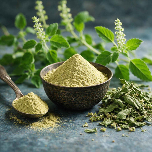(Vana Tulsi) Leaves Powder
